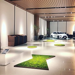 レクサス岡山
