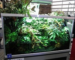 アクアリオ